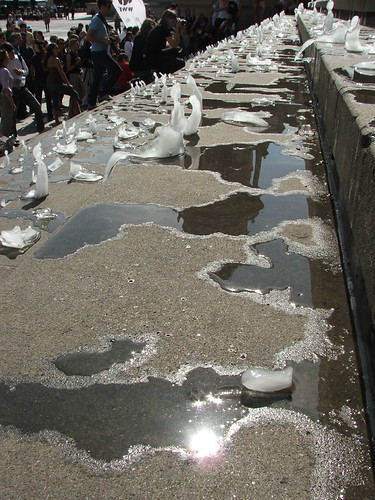 Puddles