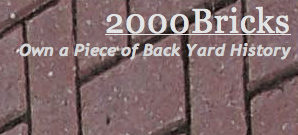 2000 bricks